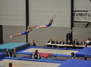 gve-trampolinespringen-522x391