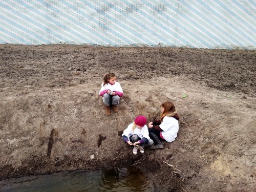 Kweektuin Singelpark 3