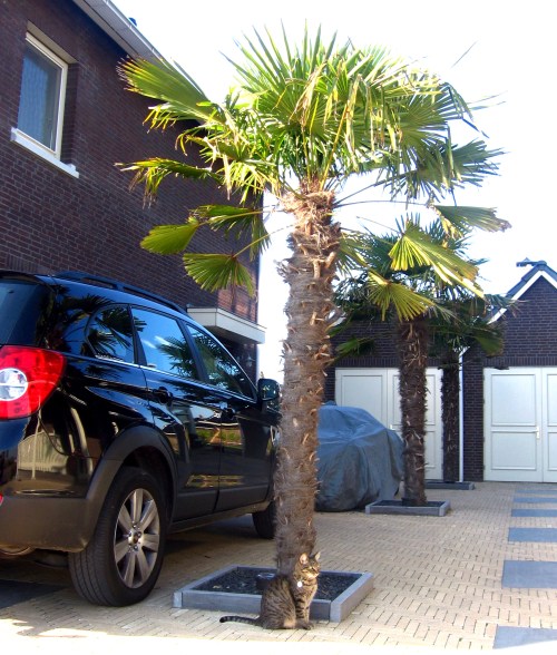 Nieuwbouwwijk 't Heerlijk Recht, Leiderdorp