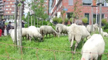 foto:Leidsch Dagblad