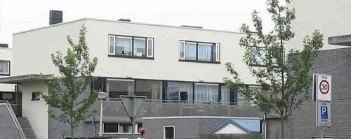 Kleine nieuwe bomen   (bron: politiekdelft.nl)